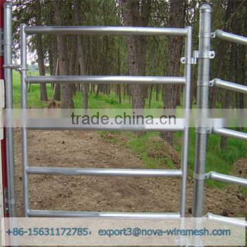 Hot sale!!! galvanized fence/PVC coated fence/powder coated fence from factory