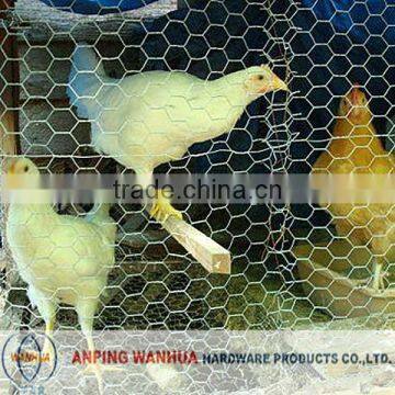 High quality chicken coope hexagonal wire mesh ( anping factory )