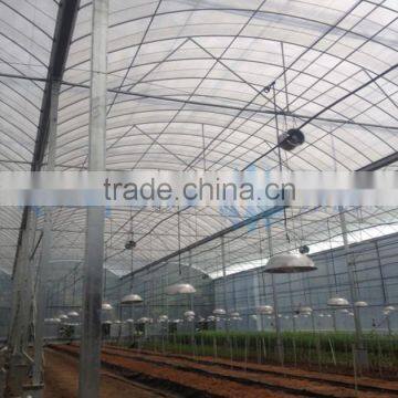 UV Resistant Plastic Film Greenhouse photo-4