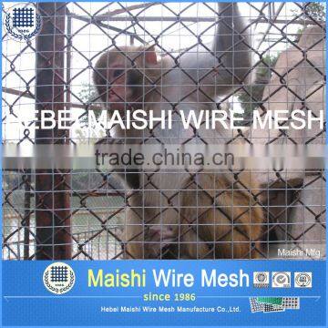 50mm Galvanized and Pvc Coated Chain Link Mesh photo-3