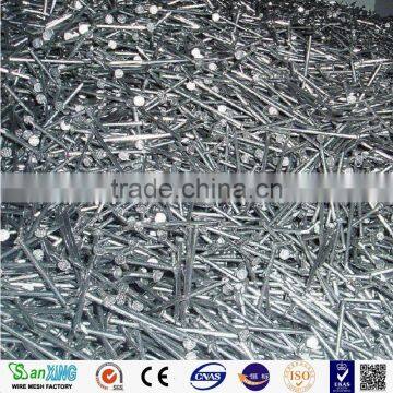 Common Nail Price of Iron Nail Factory photo-3
