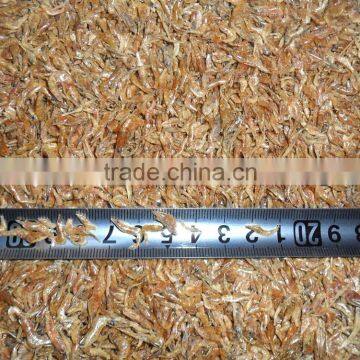 Dried Small Shrimps On Sale