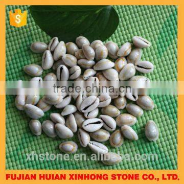 New Arrival Top Sale Popular Fashion Shell in 2015 photo-2