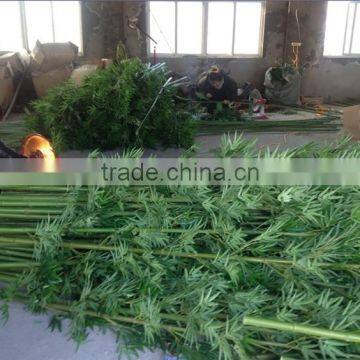 CHY030924 Guangzhou Shengjie Artificial Bamboo Plant Sticks With Bamboo Leaf photo-2