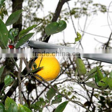 High Limb Pole Tree Pruner With Long Aluminum Handle photo-3