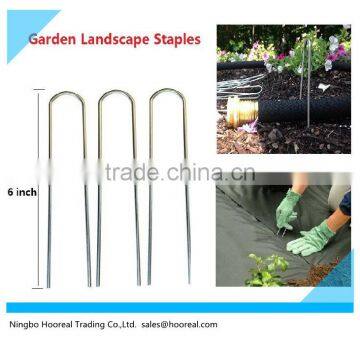 Bulk Ground Staple Bulk Box - 1000 Staples Landscape