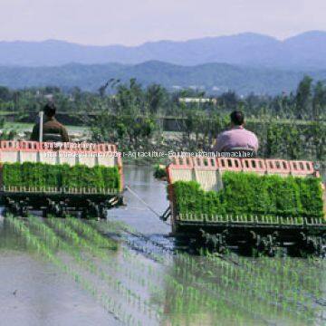 Rice Transplanter photo-2