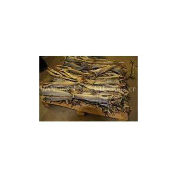 Stock Fish & Dried Cod Fish Heads