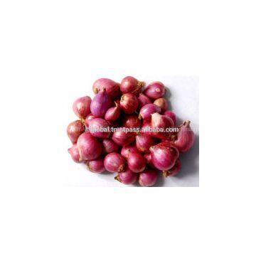 Sell Fresh Red Onion