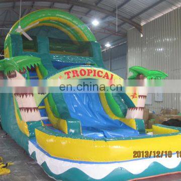 High quality beautiful coconut palm water slide with pool WS068