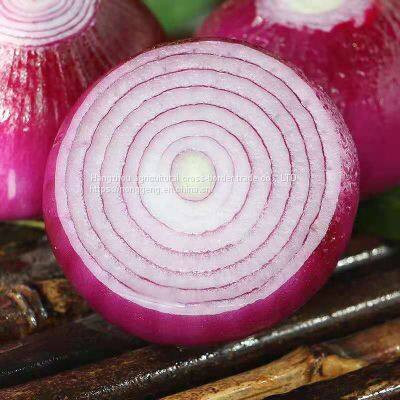 Fresh Onion photo-2