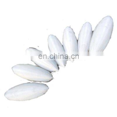 High Quality Animal Feed Body Part Vitamins NATURE Bag Packaging Natural White Dried Cuttlefish Bone photo-2