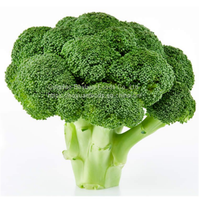 Frozen Vegetables