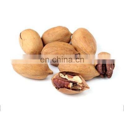 Byloo Pecan nuts kernels seeds halves dry natural whole dried jumbo size in shell baking material to Thailand