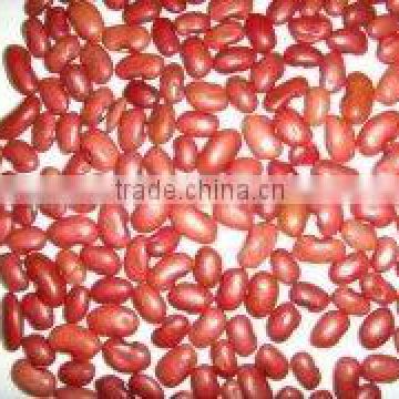 red kidney beans