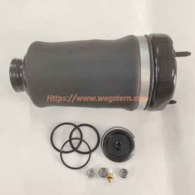 1643206013 Популярный пневматический амортизатор для Mercedes Benz W164 ML GL Передний Левый и Правый 2005-2011