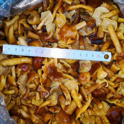 Nameko in brine  B grade