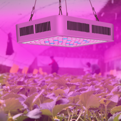 Plant Grow Light Test Report GB7000.1