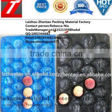 professional manufacturer fresh vegetable plastic packing tray/fruit plastic packaging tray