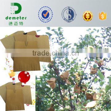 Insect Prevention and Anti-bird Carbon Coated Kraft Paper Fruit Growing Bag