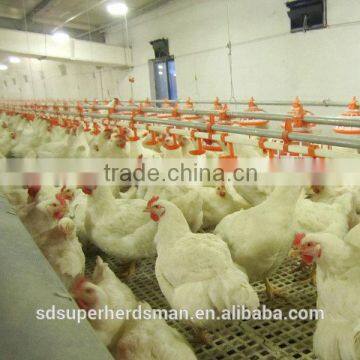 poultry farming equipment for chickens