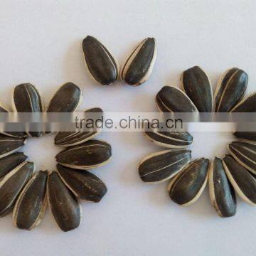 cheap sunflower seeds hulled sunflower seeds sunflower seed ton price