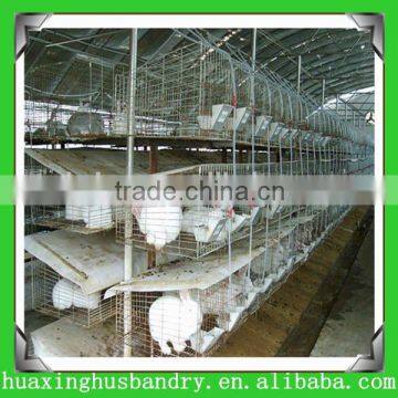 Practical poultry layer cages with feed system for rabbit