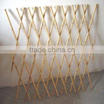 Bamboo fence Sun-008