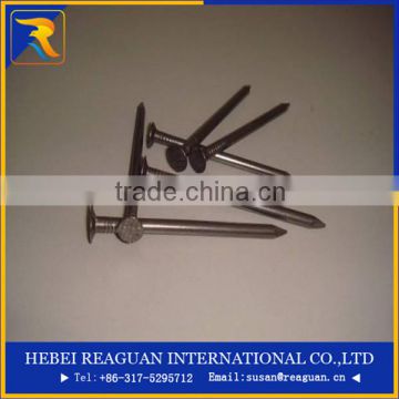 Hot sale and best price 1-3/4"(5D) fence nail