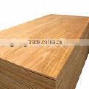 agathis plywood