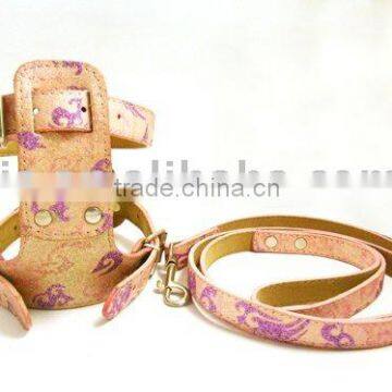 Beautiful dog harness set