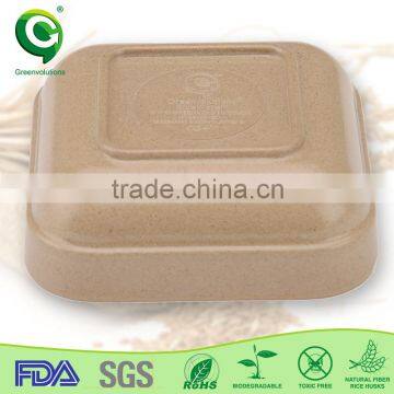 Eco Friendly Organic Material Biodegradable Restaurant Dinner Plate photo-2