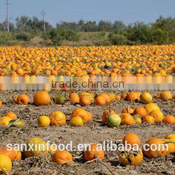 Pumpkin Seeds AA Grade