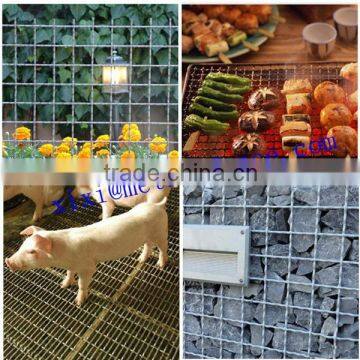 crimped wire mesh/galvanized crimped wire mesh