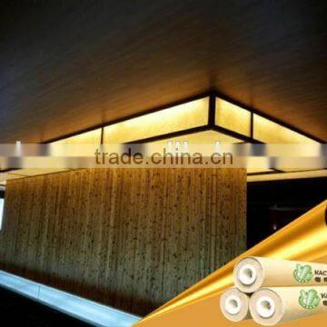 Fireproof pvc film for stretch ceiling, Anti-fungus pvc ceiling film