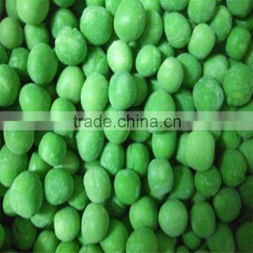 IQF Frozen Fresh Green Peas Export ToJapan photo-2