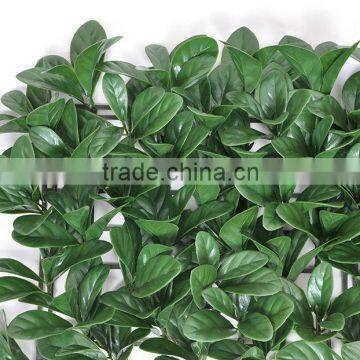 PE material bayberry plastic leaf fence