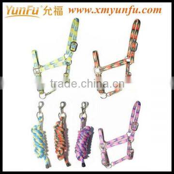 Custom Factory Fancy webbing horse halter