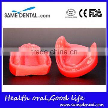 Dental Functional Edentulous Jaws Model DEA-30 photo-4