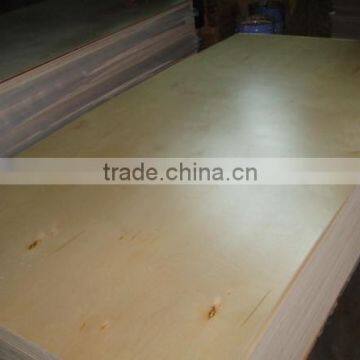 shandong best price of uv birch plywood to africa and UAE market