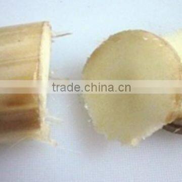 Banana Stem Price photo-2