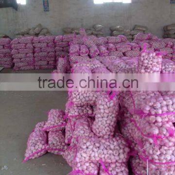 2016 New Fresh White Garlic at Cheap Price photo-5