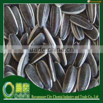 2014 Crop (24/64 280pcs/50GM) Sunflower Seeds Bulk Chinese Supplier For Human Consumption