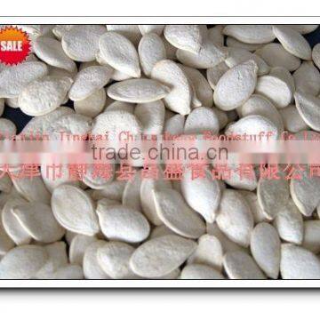 sell Roasted and salted pumpkin seeds in high quality