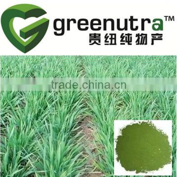 Barley Grass Powder