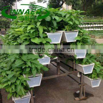 greens plant groove for Agricultural tools