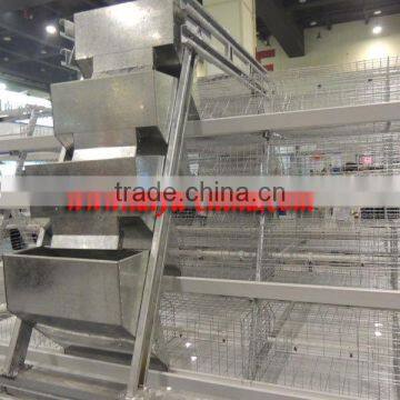 TAIYU Chicken Feeding System Guangzhou