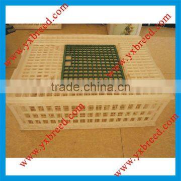 Plastic transport crates