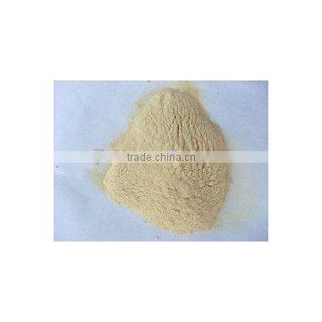 wheat gluten meal