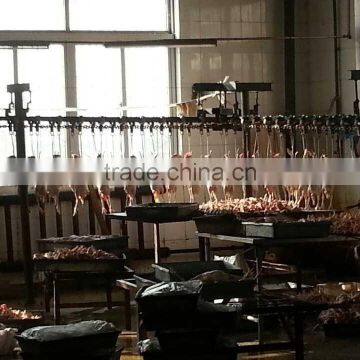 China Best Selling Poultry Slaughter House 500bph/1000bph/4000bph photo-2